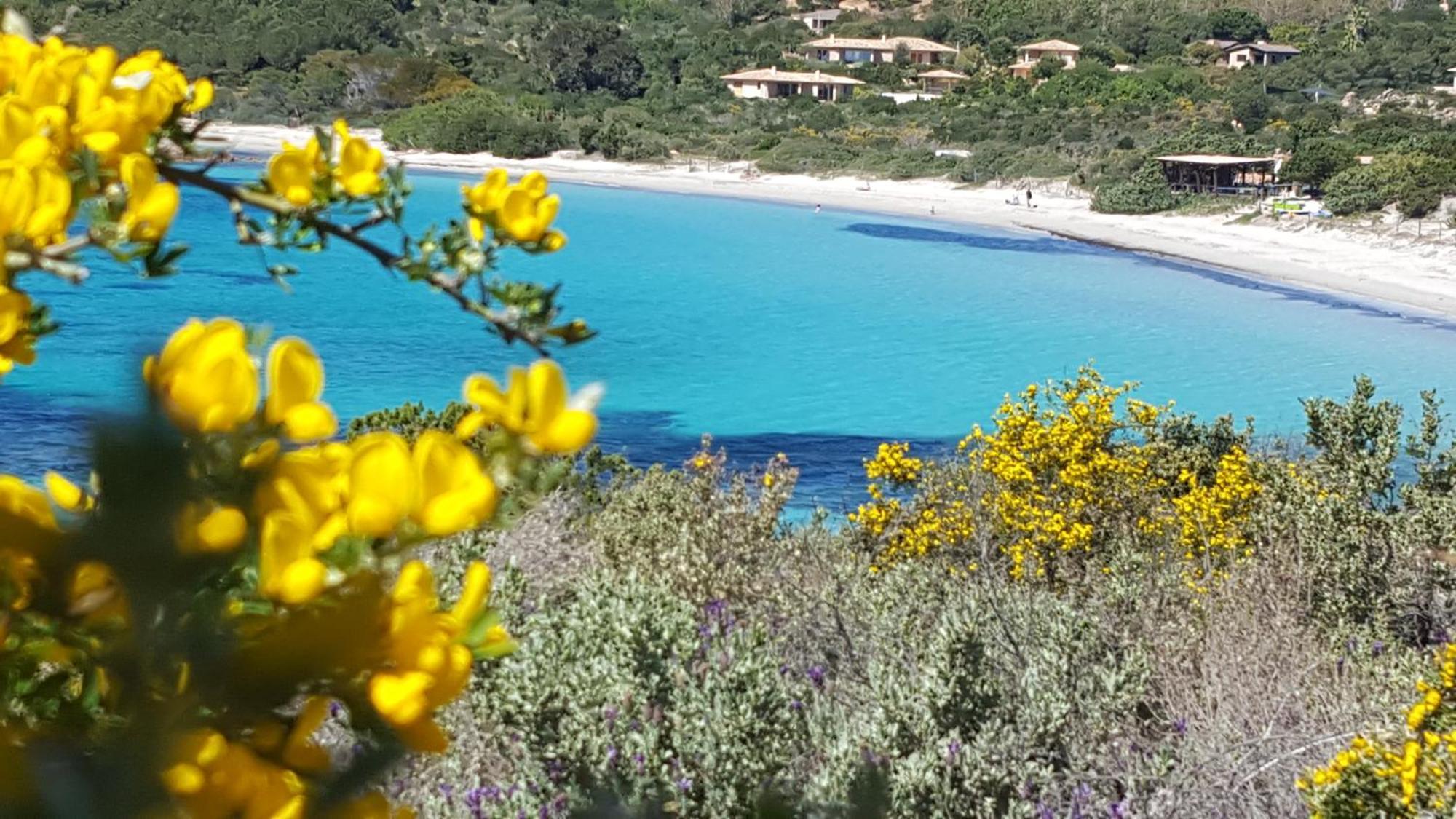 Locations Residence Rocca Rossa Palombaggia Classees 3 Etoiles Porto Vecchio Exterior foto
